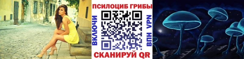 Псилоцибиновые грибы MAGIC MUSHROOMS  Протвино 