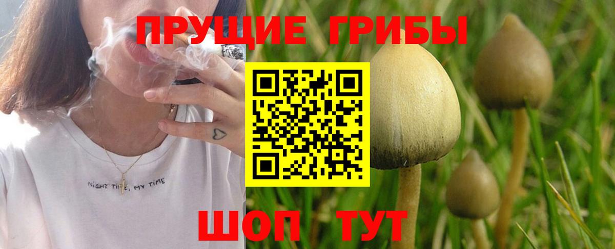 Протвино  Галлюциногенные грибы мицелий  Вход с VPN 