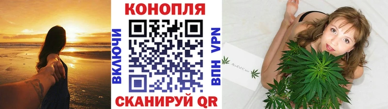 Бошки Шишки VHQ Протвино